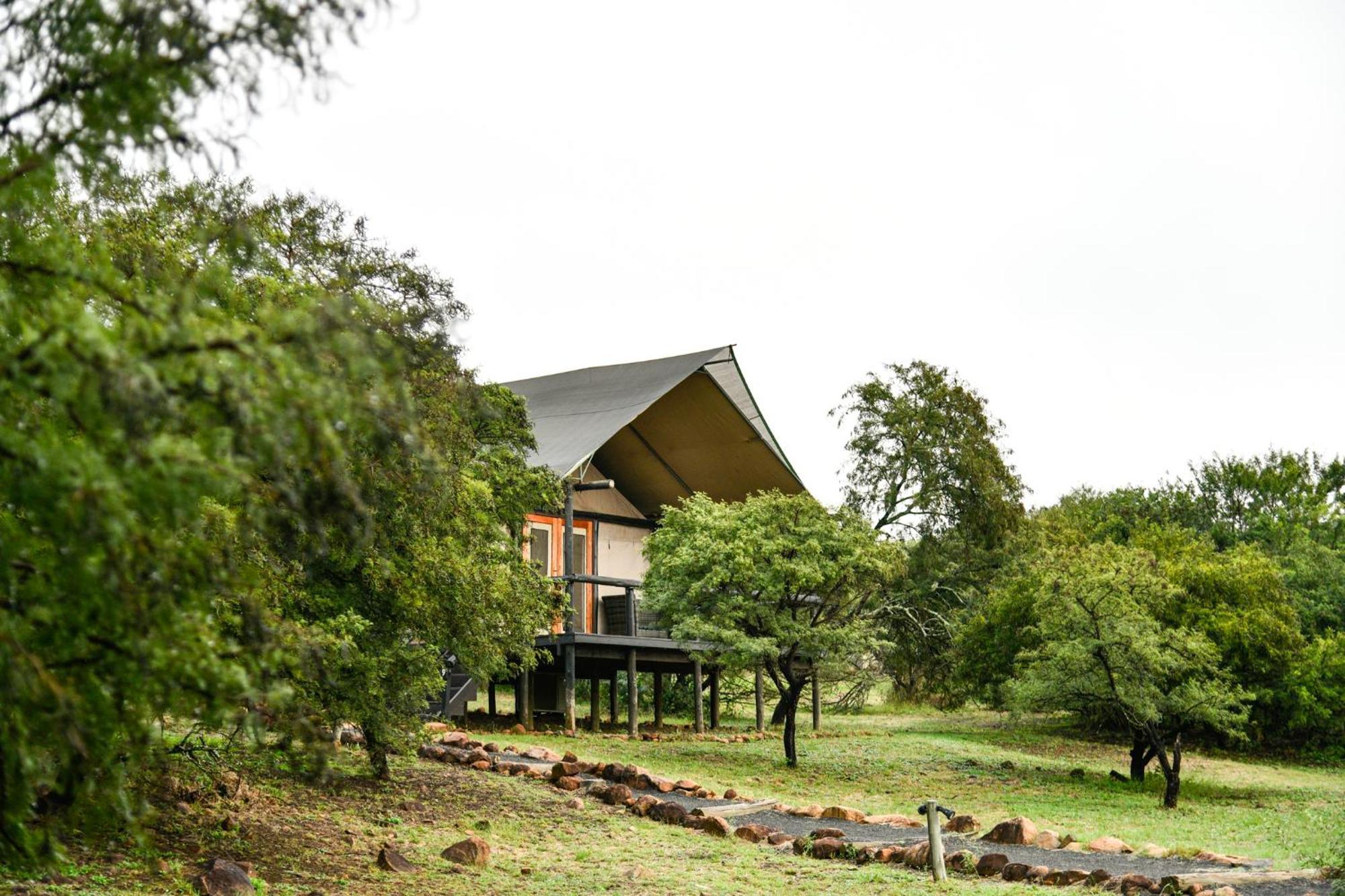The Springbok Lodge 莱迪史密斯 外观 照片